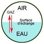 Echanges gazeux