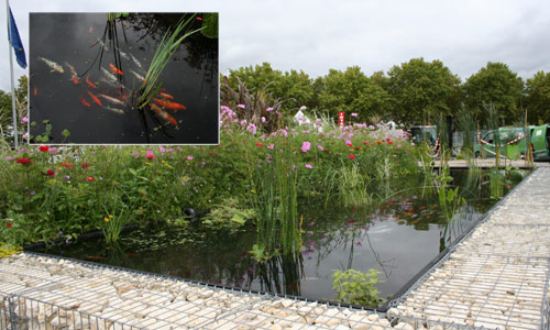 Bassin de jardin en bois