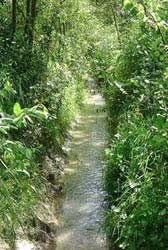 Ruisseau...de 0 � 5 m�tres d'eau suivant la pluviom�trie