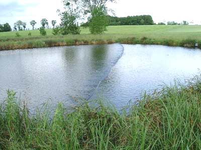 Etang d'alevinage