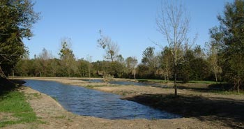 dernier maillon des lagunes de culture 