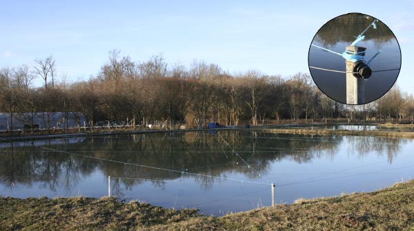 Protection des étangs contre les hérons et cormorans