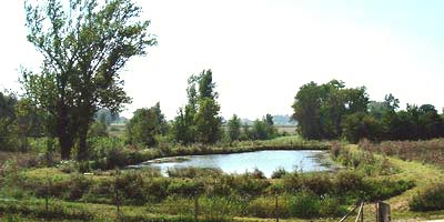 Lagune d'épuration avant travaux