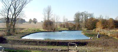 Etang après travaux