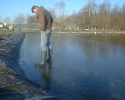 Etang d'alevinage gelé