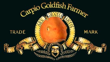 Carpio Goldfish Farmer
